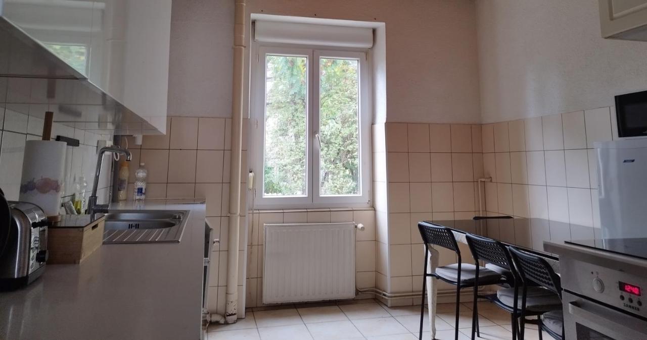 Le Thannois - Appartement 2 Chambres, Salon, Cuisine Equipee, Parking Et Wifi Gratuit Μυλούζη Εξωτερικό φωτογραφία