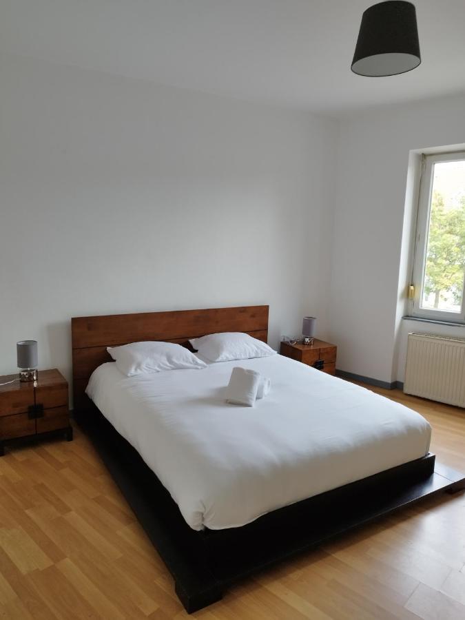 Le Thannois - Appartement 2 Chambres, Salon, Cuisine Equipee, Parking Et Wifi Gratuit Μυλούζη Εξωτερικό φωτογραφία