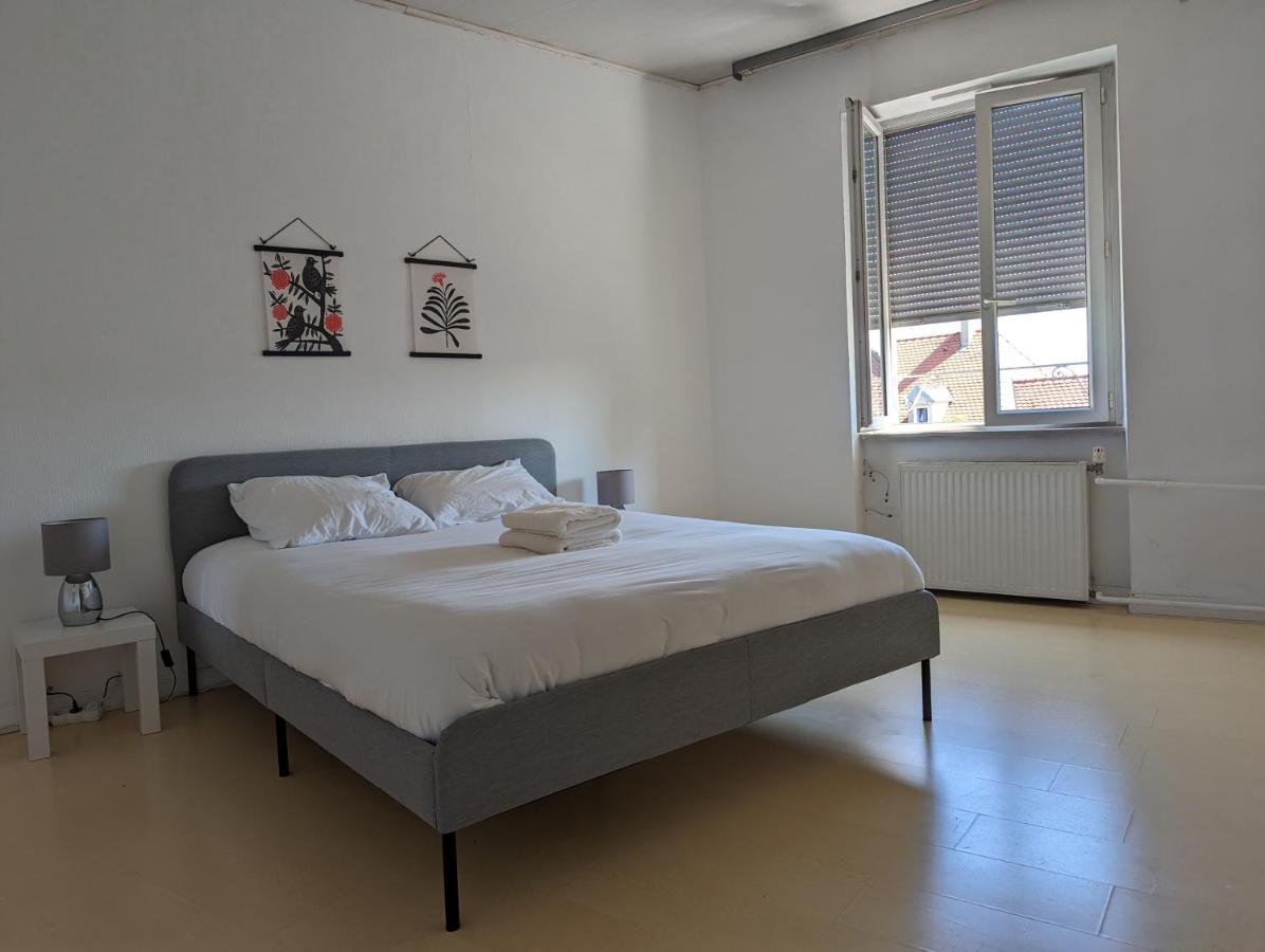 Le Thannois - Appartement 2 Chambres, Salon, Cuisine Equipee, Parking Et Wifi Gratuit Μυλούζη Εξωτερικό φωτογραφία